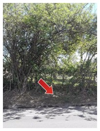 1. Le piquetage contradictoire