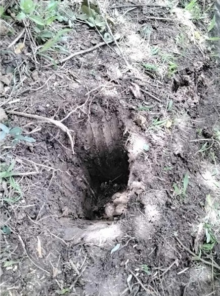 2. Fouille réalisée