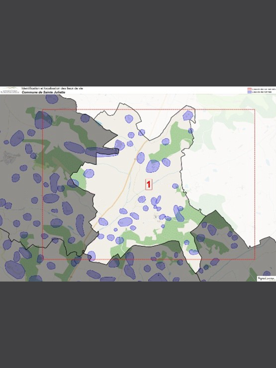 Picture3_imresizer(2)