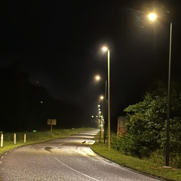 Candélabre solaire éclairant une voirie en Guyane