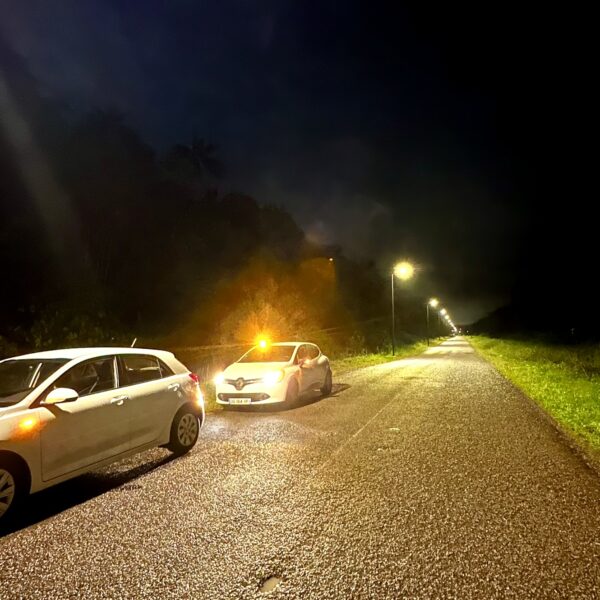 Candélabre solaire éclairant une voirie en Guyane