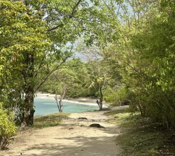 Signalétique touristique : valoriser le sentier du littoral de Sainte-Luce | Groupe GDS
