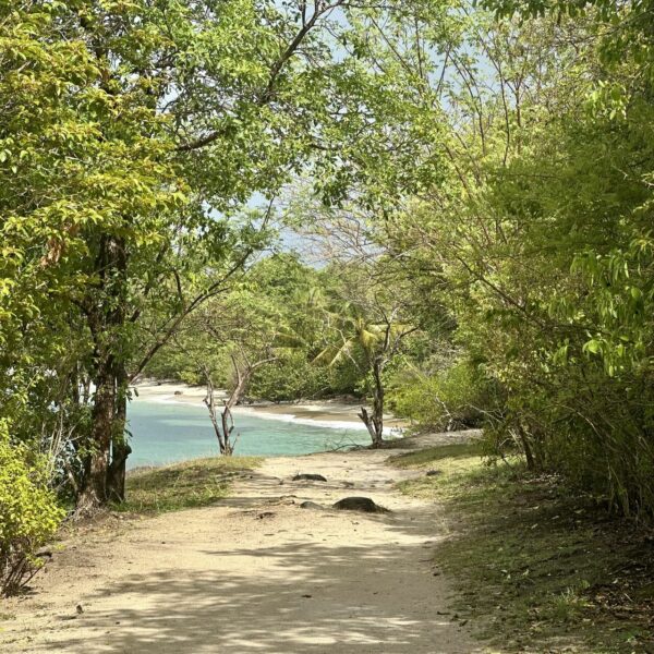 Signalétique touristique : valoriser le sentier du littoral de Sainte-Luce | Groupe GDS