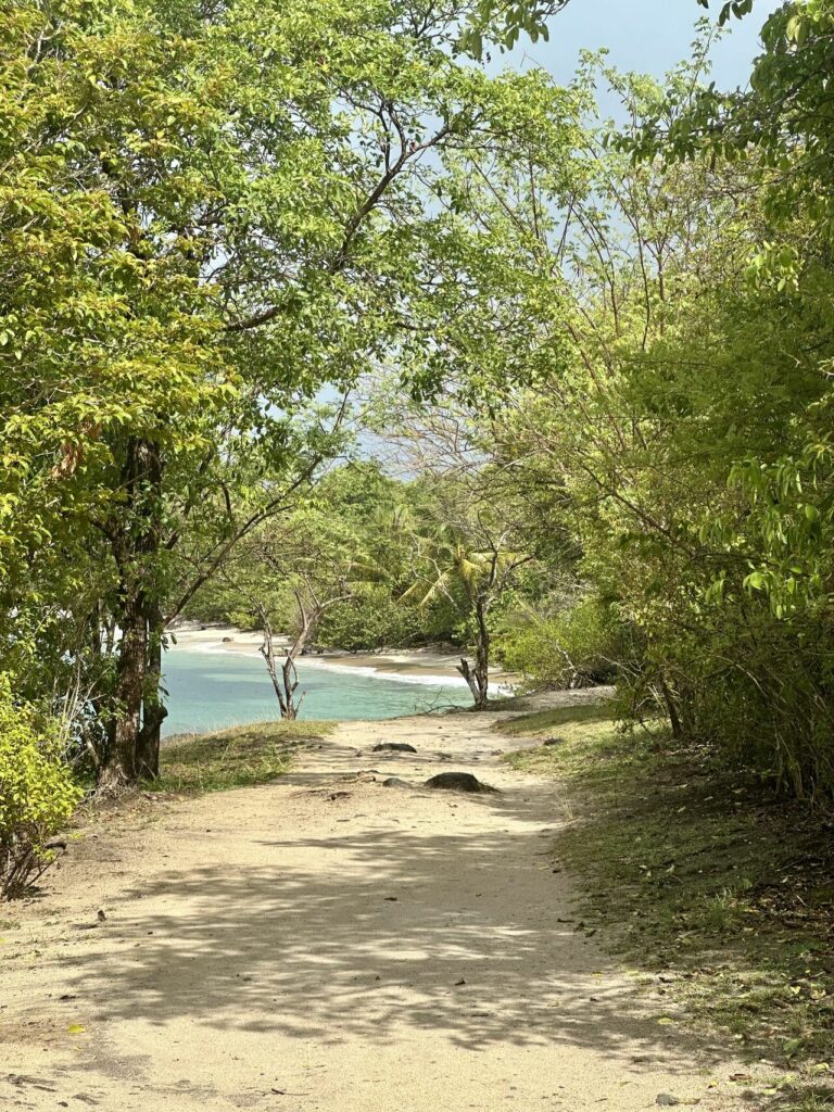 Signalétique touristique : valoriser le sentier du littoral de Sainte-Luce | Groupe GDS