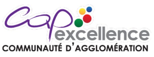 Logo_CAPexcellence_imresizer